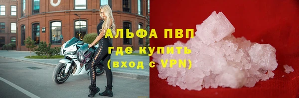 спайс Баксан
