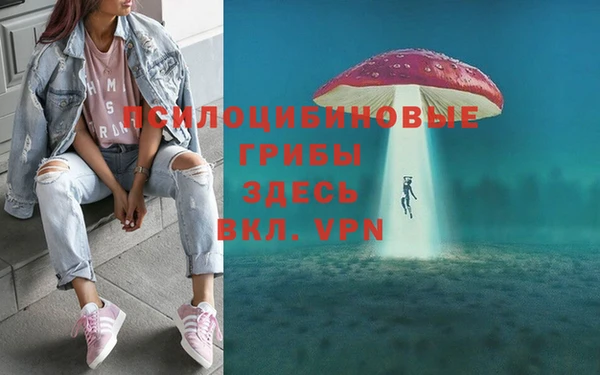 спайс Баксан