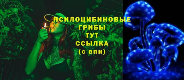спайс Баксан